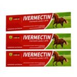 Ivermectin Horse Paste 1.87% – Apple Flavored – 6.08g Tube – for Horses Up to 1250 lb