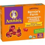 Annie's Organic Bees, Bugs, and Butterflies Fruit Flavored Snacks, 10 Pouches, 7 oz