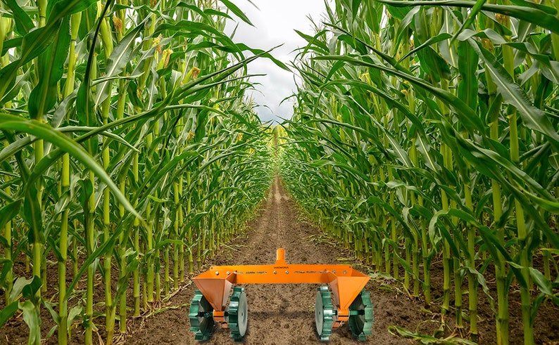 il_794xN.3508809016_mpuo.jpg 1