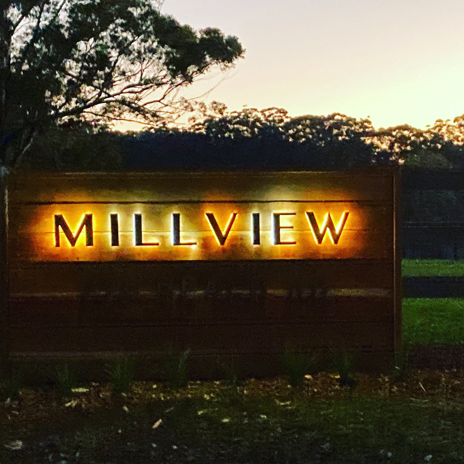 il_fullxfull.2487792637_gko9.jpg 5