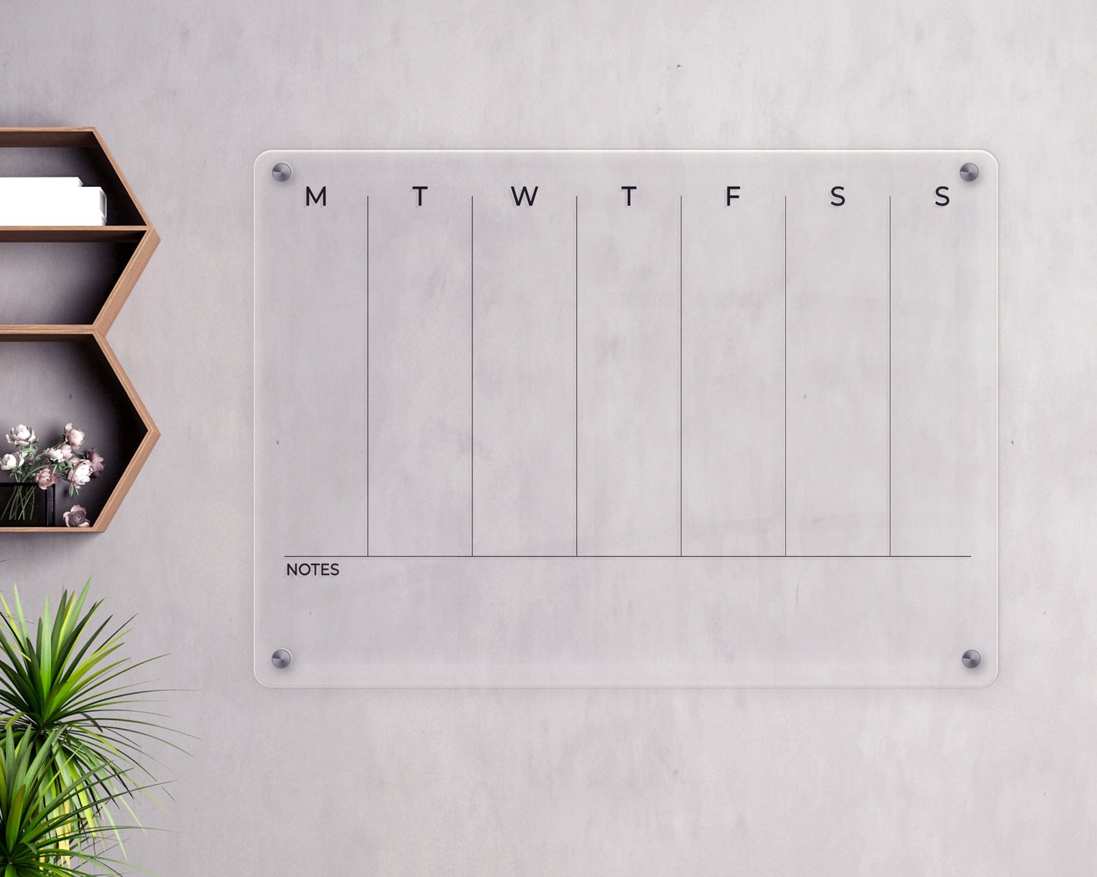 il_fullxfull.5355584587_f679.jpg 1